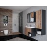 Banio Design ophang wc rimoff met sproeier en warm/koud water kraan - Wit  | Banio